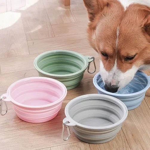 Dog drinking from a collapsible silicone travel bowl