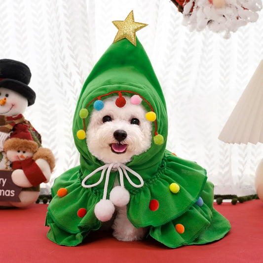 Pet wearing the green Christmas tree cape for cats and small dogs