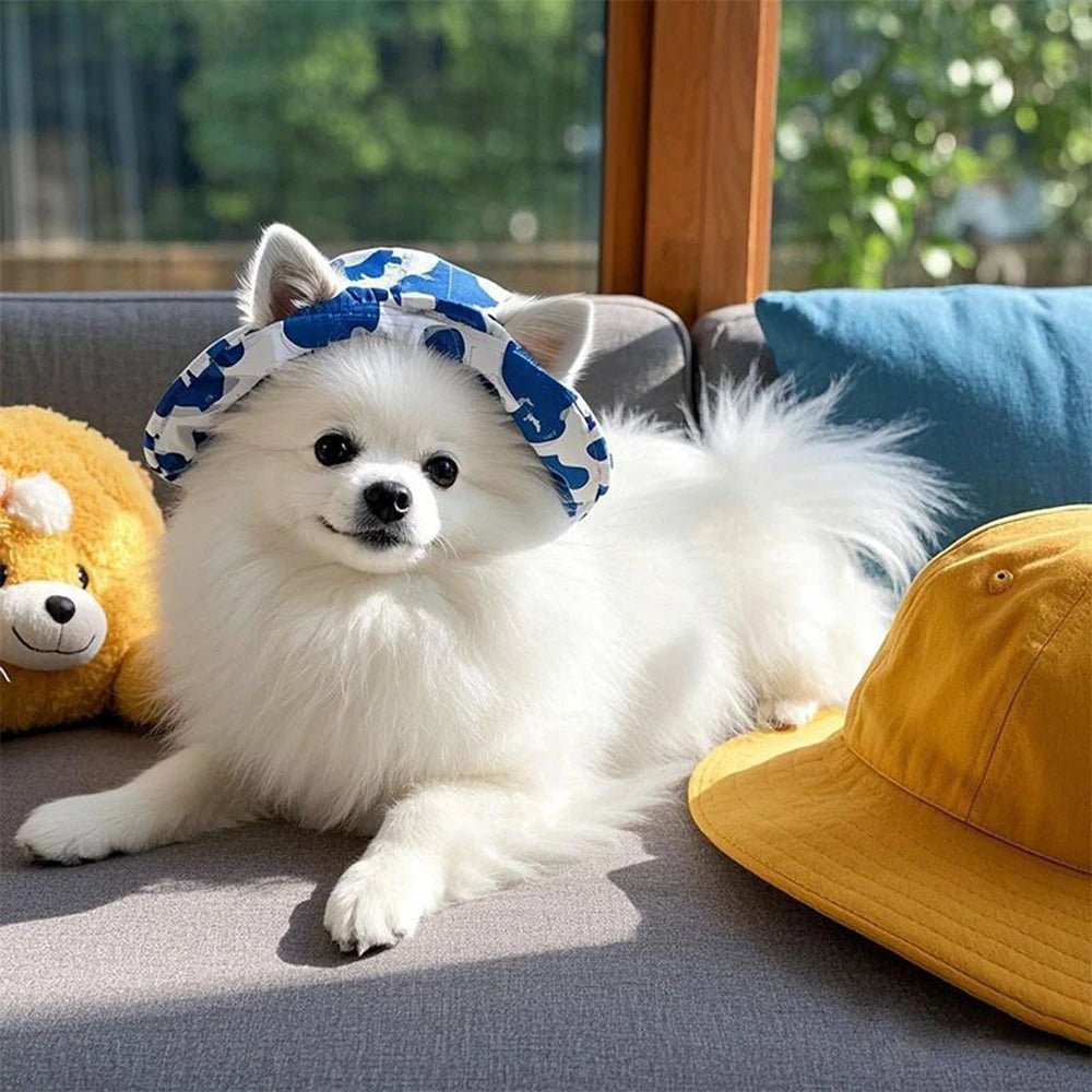 Cute Print Dog Hat – Adjustable Cap for Small & Medium Dogs