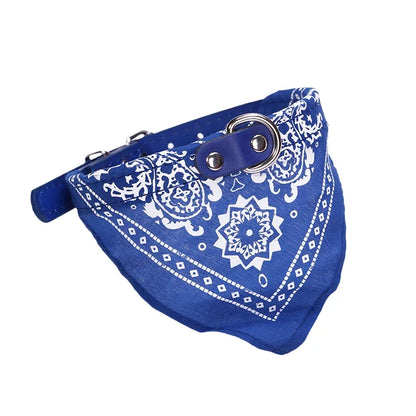 Dog wearing a blue buckle collar with an attached paisley bandana scarf