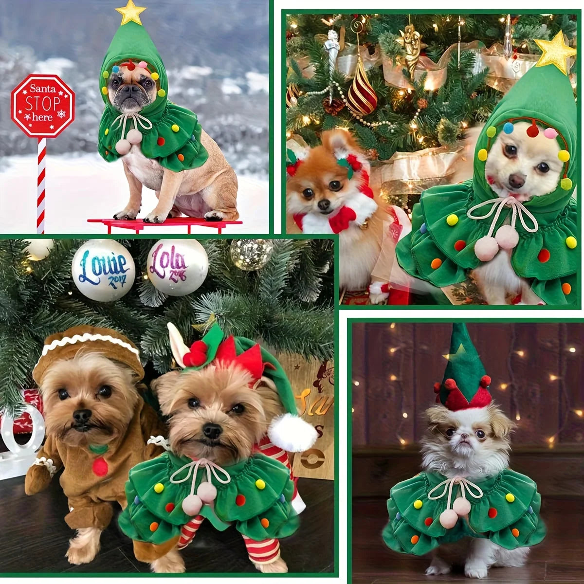 Pet wearing the Christmas tree cape for cats and small dogs