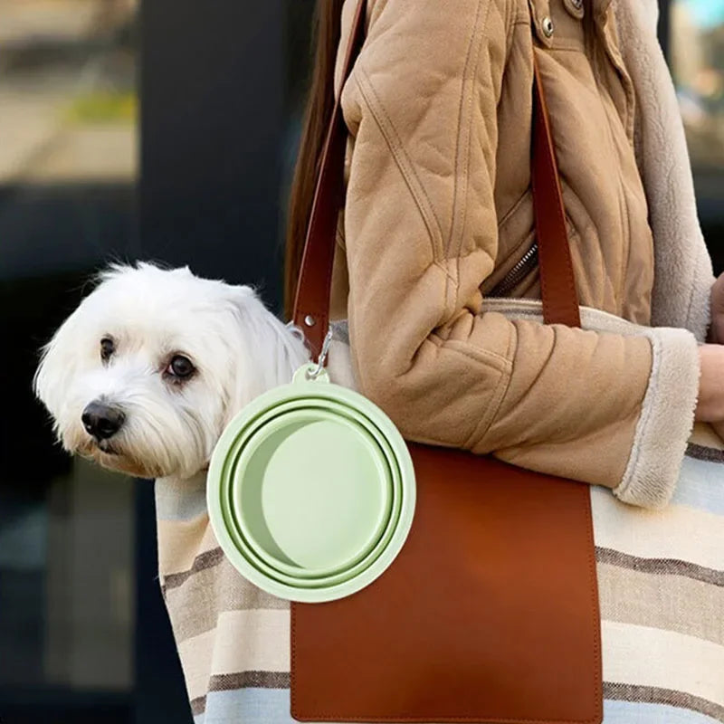Small white dog next to a green folding travel bowl clipped to a bag