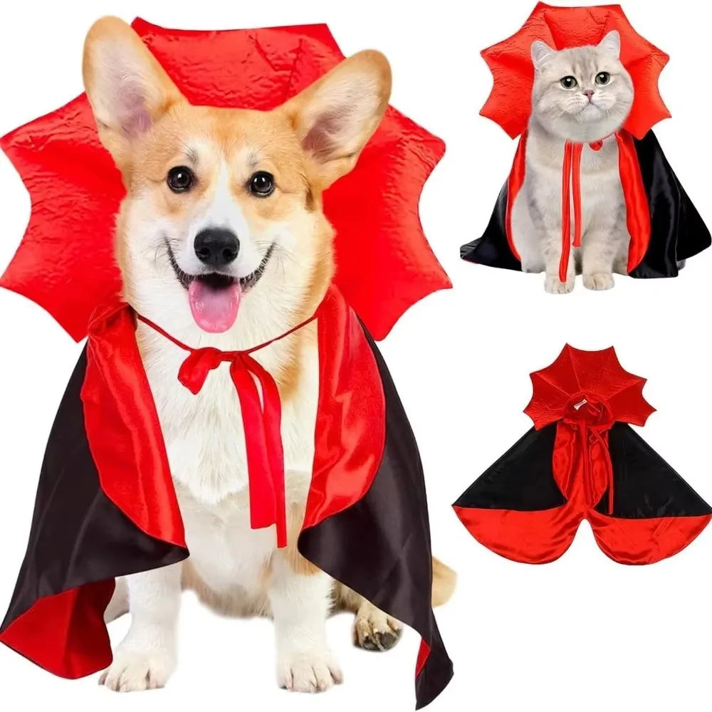 Corgi wearing a red vampire cloak with a bat-wing collar