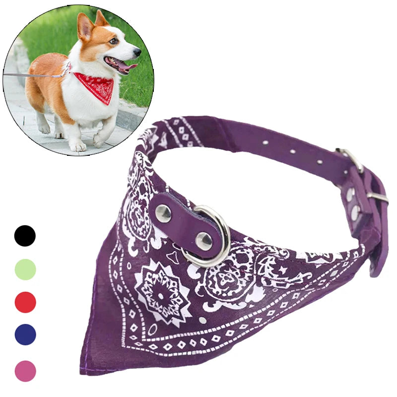 Dog collar with an attached printed scarf