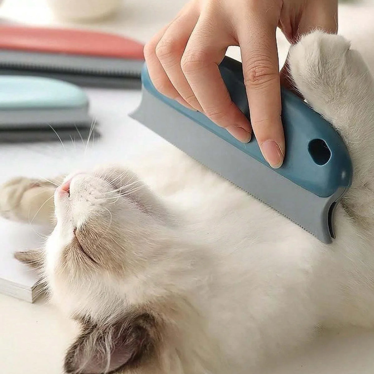 Handheld pet hair scraper brush pulling a pile of dog fur out of a carpet