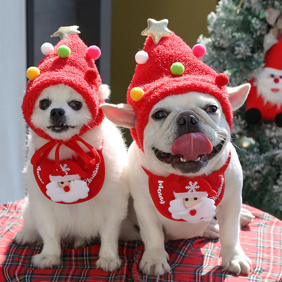 Pet wearing a Christmas antler, pompom or bib accessory