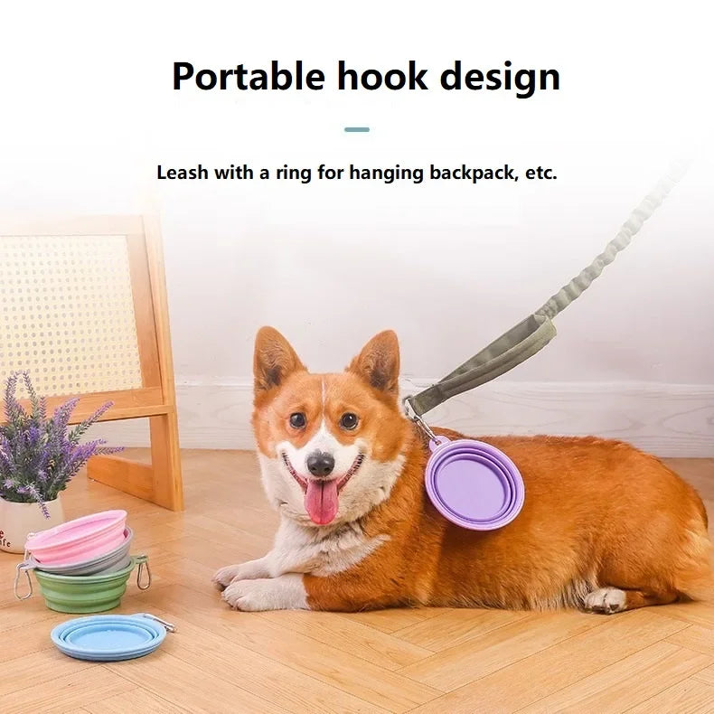 Dog lying on the floor with a purple folding bowl clipped to its leash