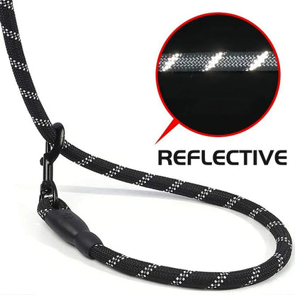 Reflective threads in the rope leash shining under light