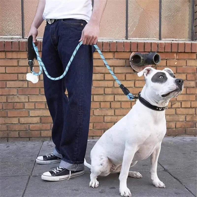 Dog on a rope leash with a padded handle (blue shown)