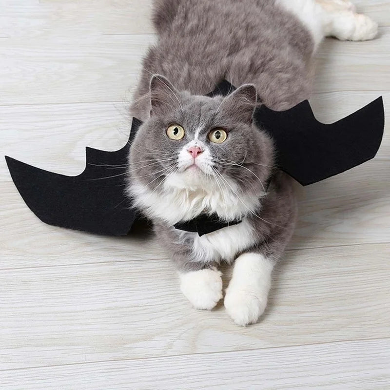 Bat Wings Costume for Cats & Small Dogs – Black Harness Wings