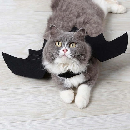 Bat Wings Costume for Cats & Small Dogs – Black Harness Wings