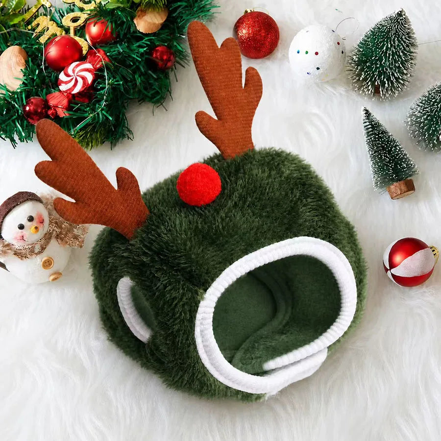 Pet wearing the antler-style Christmas hat in green