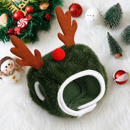 Pet wearing the antler-style Christmas hat in green