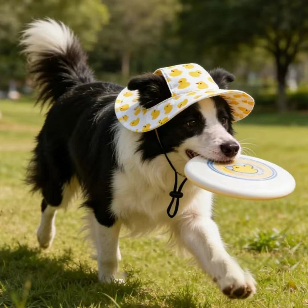 Cute Print Dog Hat – Adjustable Cap for Small & Medium Dogs