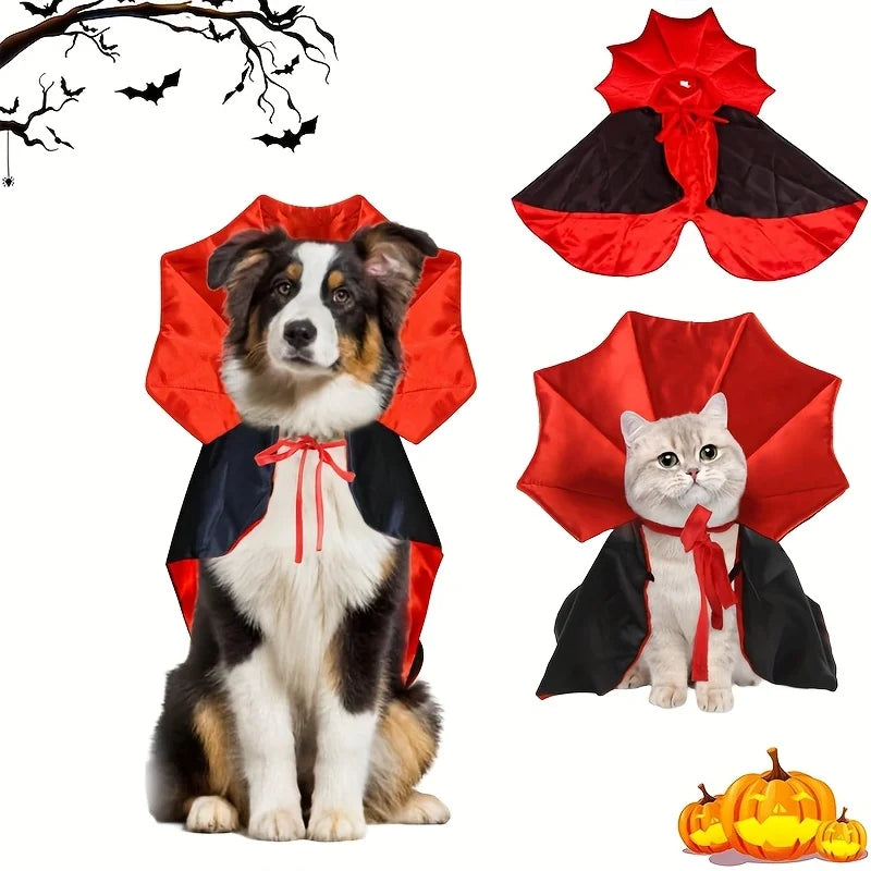 Dog and cat wearing a red and black vampire cape