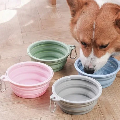 Dog drinking from a collapsible silicone travel bowl, with pink, green and grey bowls nearby