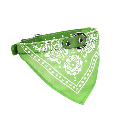 Dog wearing a green buckle collar with an attached paisley bandana scarf