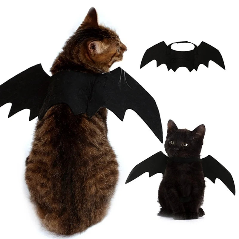 Cat wearing black bat wings on a harness