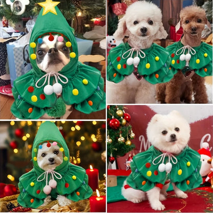 Pet wearing the Christmas tree cape for cats and small dogs