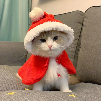 Pet wearing a Santa or reindeer hooded Christmas cape with Velcro neck closure