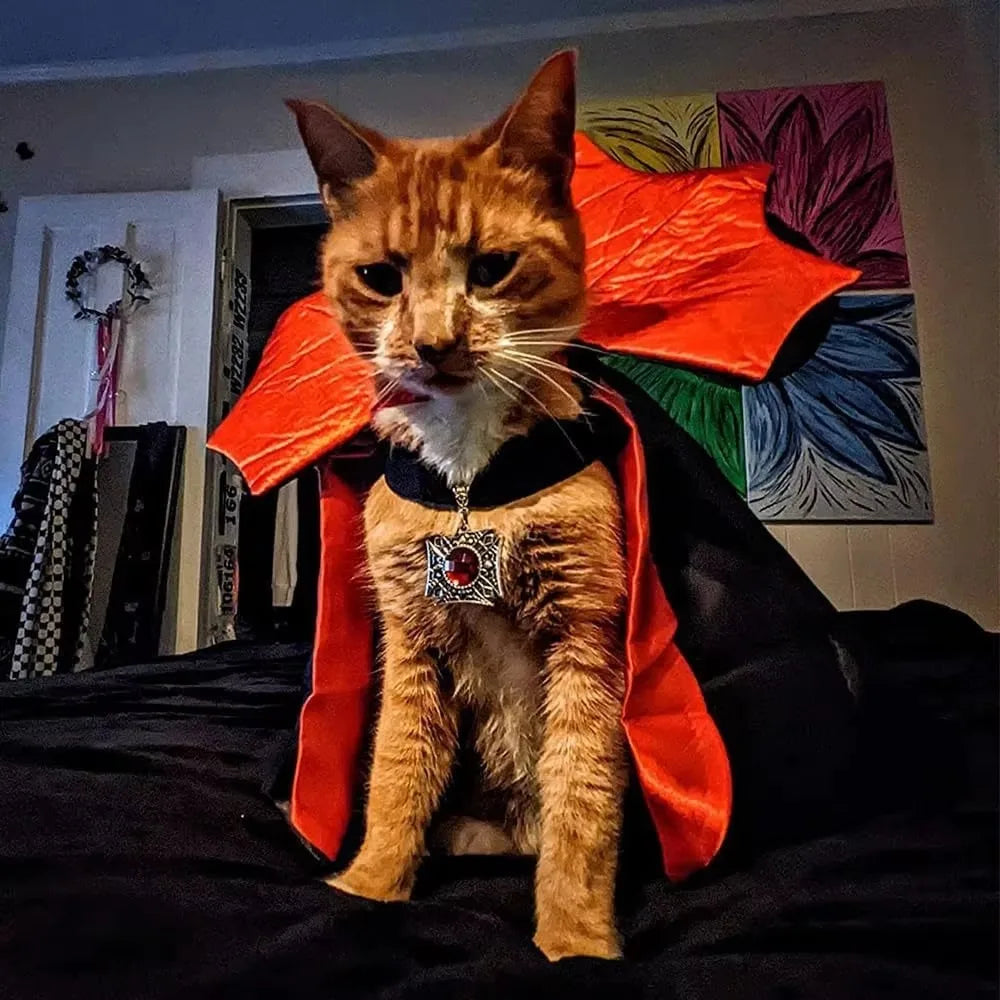 Vampire Bat-Wing Cloak for Dogs & Cats – Red Halloween Cape