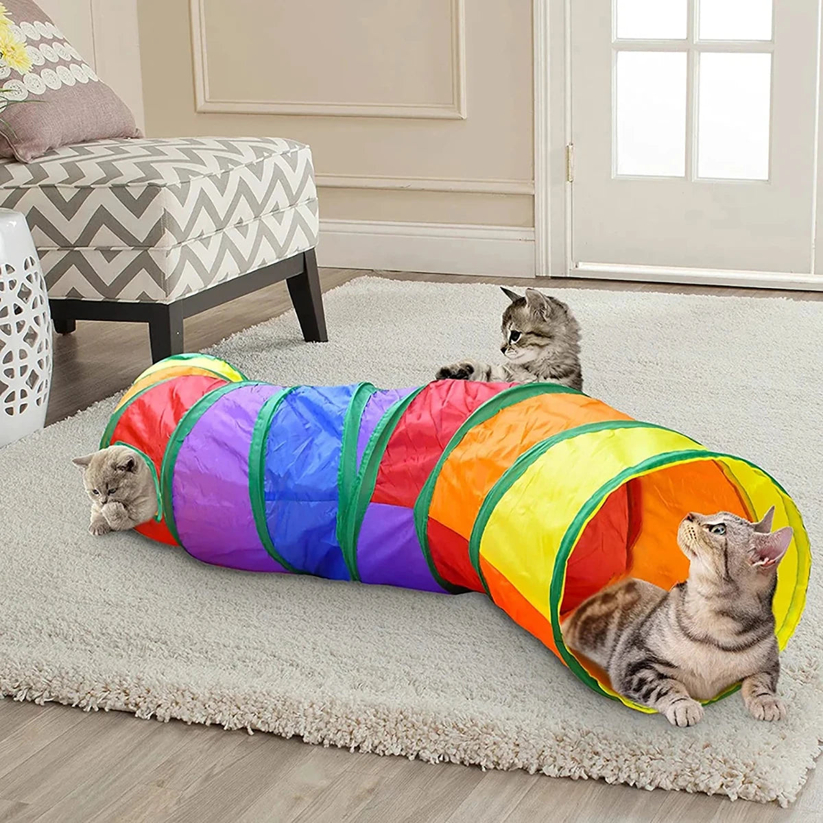 Cat peeking out of a foldable cat tunnel with dangling ball toy