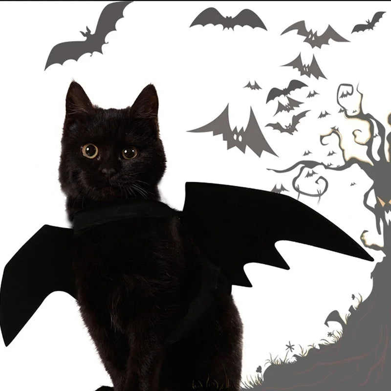 Bat Wings Costume for Cats & Small Dogs – Black Harness Wings