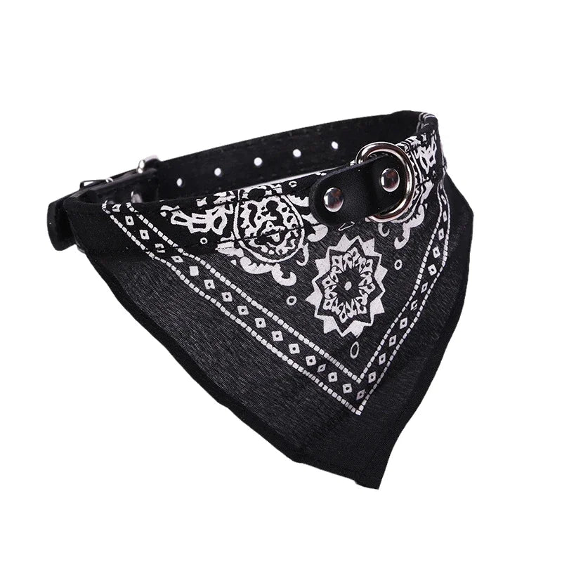 Dog wearing a black buckle collar with an attached paisley bandana scarf