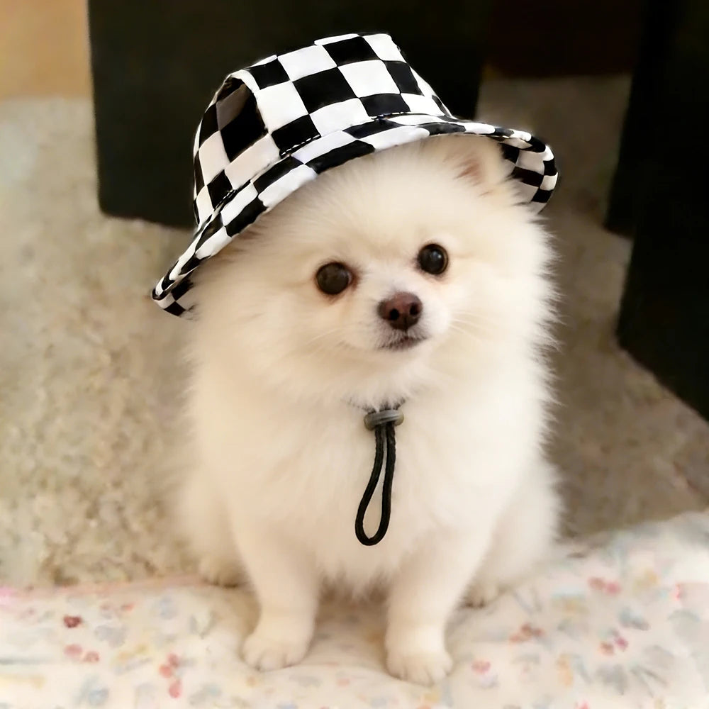 Cute Print Dog Hat – Adjustable Cap for Small & Medium Dogs