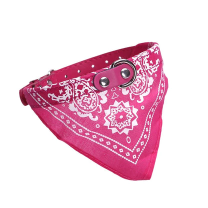 Dog wearing a rose buckle collar with an attached paisley bandana scarf