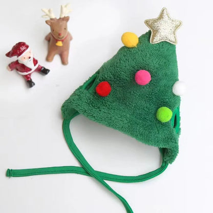 Pet wearing the pompom-style Christmas hat in green