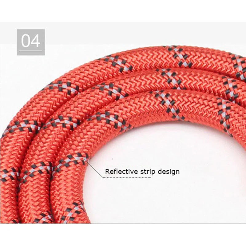 Coiled rope leash with reflective strip woven in (red shown)