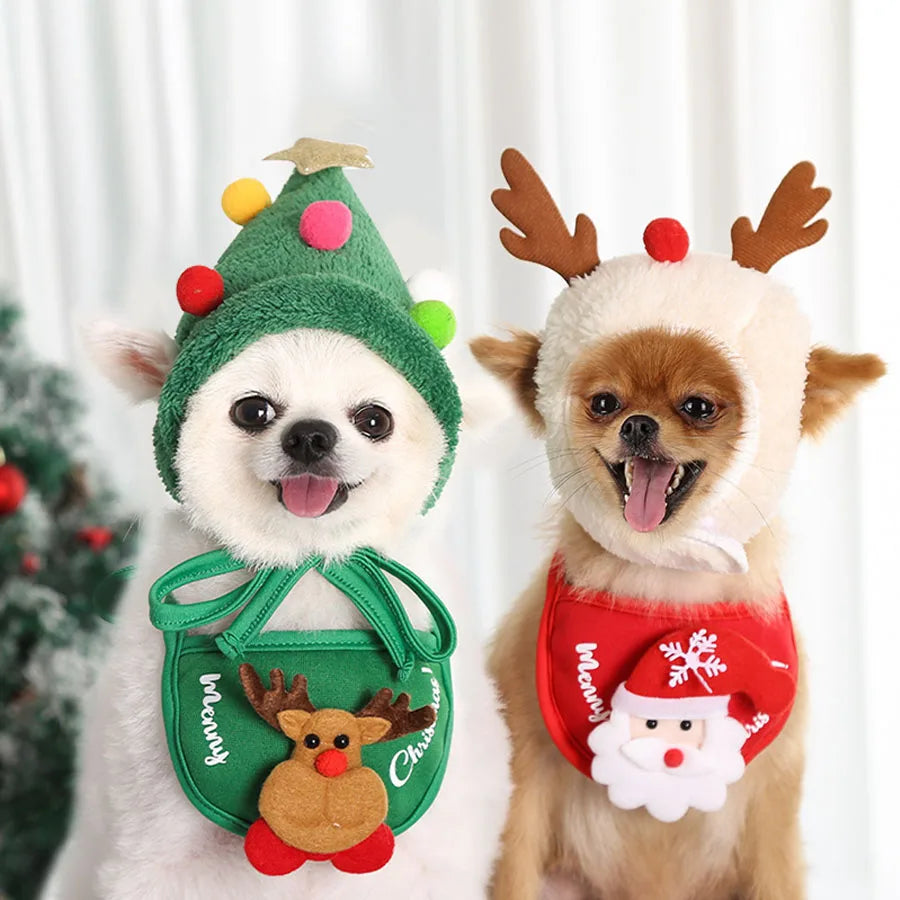 Pet wearing a Christmas antler, pompom or bib accessory