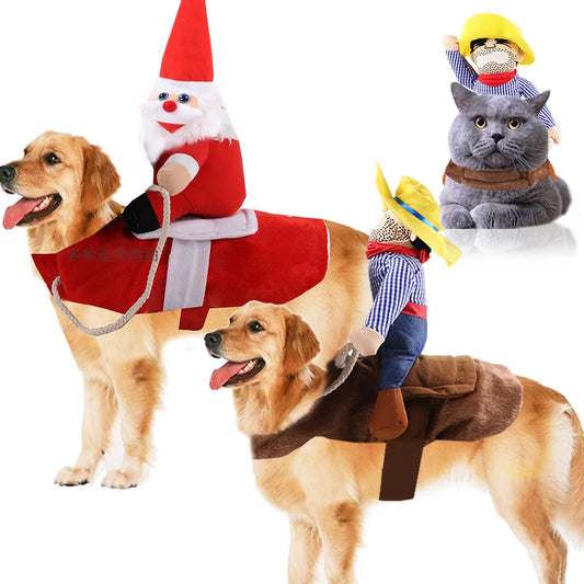 Dogs wearing the cowboy rider and Santa rider costumes
