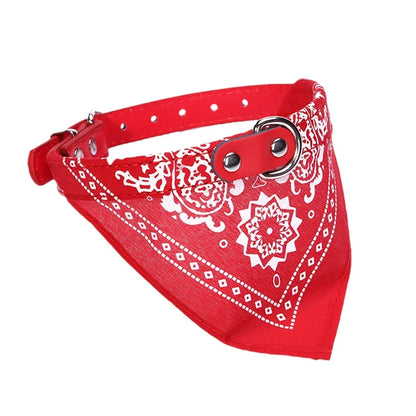 Dog wearing a red buckle collar with an attached paisley bandana scarf