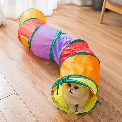 Cat peeking out of a foldable cat tunnel with dangling ball toy