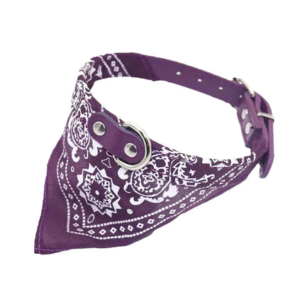 Dog wearing a purple buckle collar with an attached paisley bandana scarf