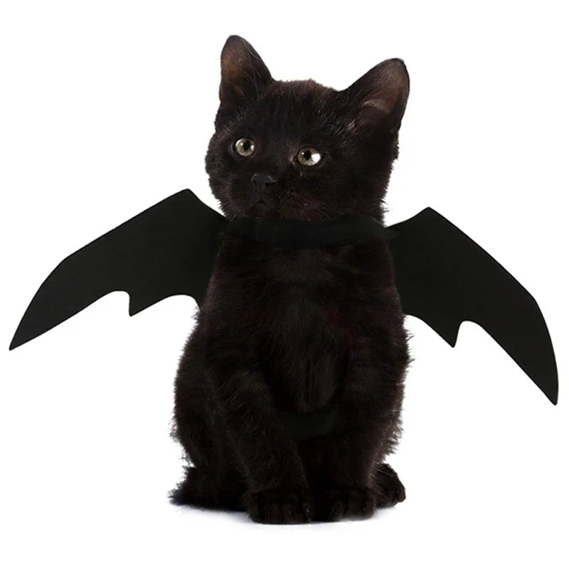 Bat Wings Costume for Cats & Small Dogs – Black Harness Wings