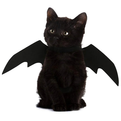 Bat Wings Costume for Cats & Small Dogs – Black Harness Wings